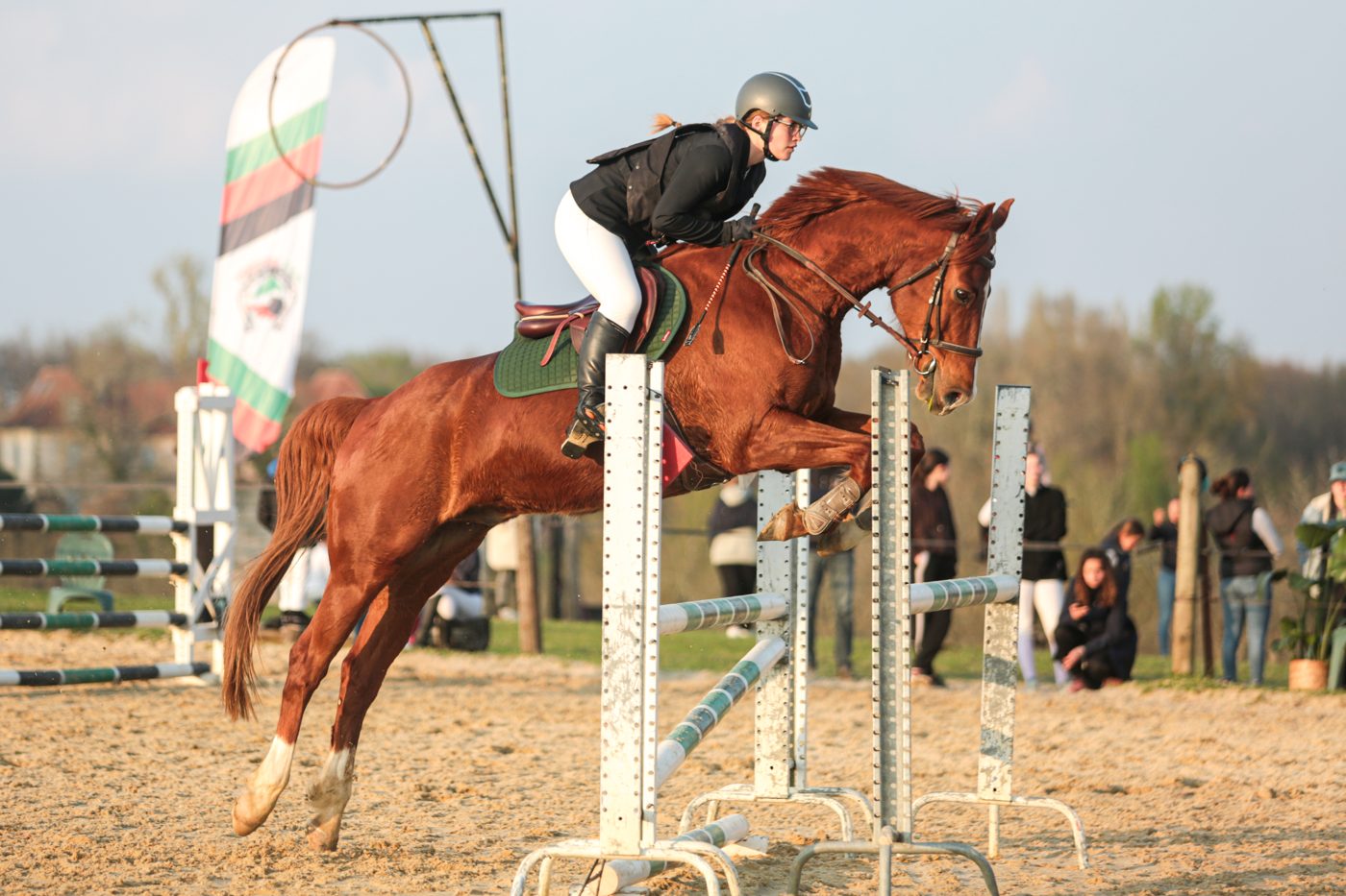 Cavalière sautant un obstacle sur un cheval alezan aux Écuries de Saint-Amand
