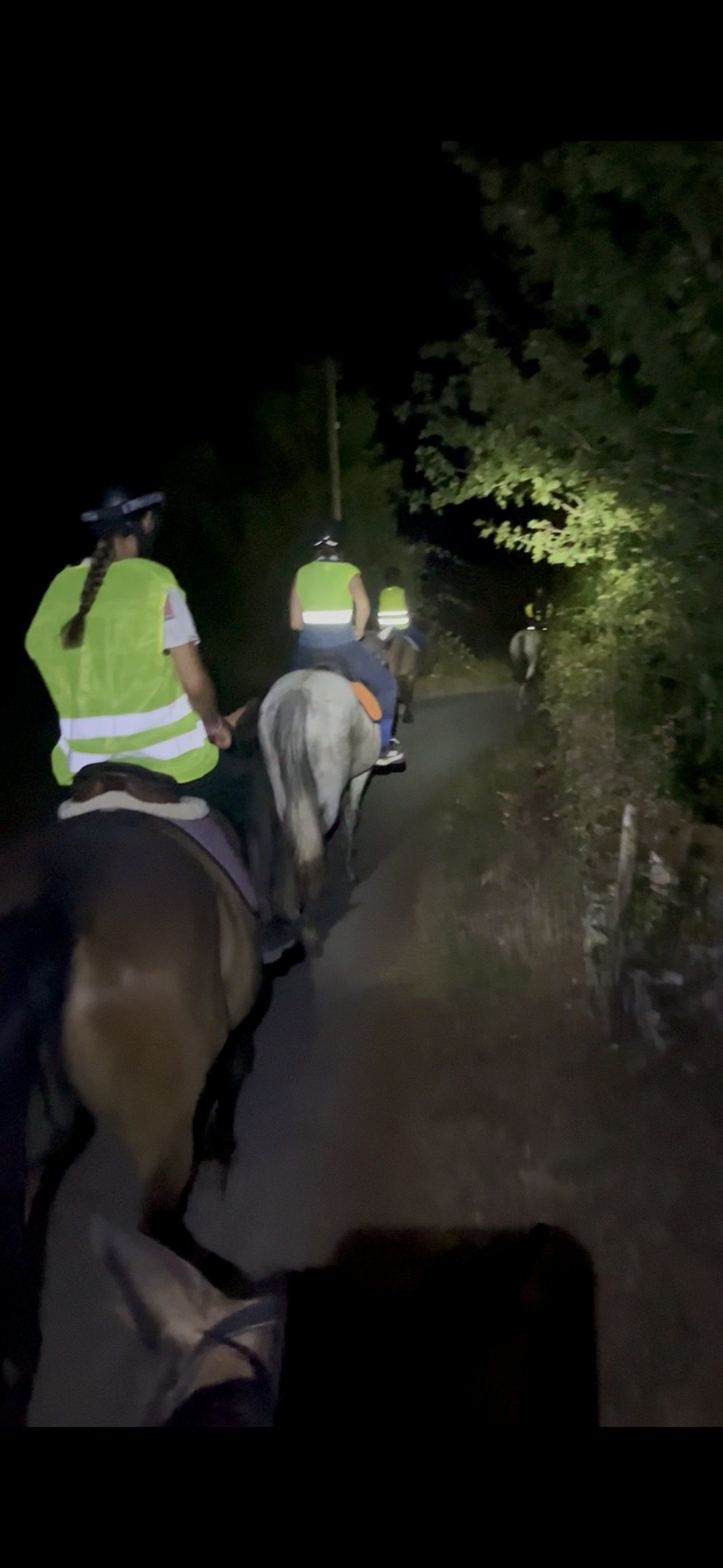 Balades nocturnes aux Écuries de Saint-Amand