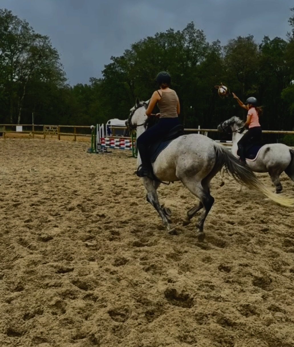 Séance de horseball aux Écuries de Saint-Amand